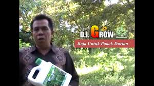 6.pokk duran perlu baja tumbesaran (npk hijau) pd pringkat awal pnanaman dan baja buah (npk biru) pd pringkat slepas matang. Di Grow Baja Untuk Pokok Durian Youtube