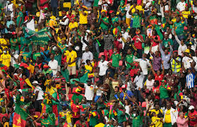 Eight fans killed in crush outside Africa Cup of Nations match in Cameroon  | The Independent