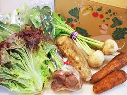 千葉県から届く 宅配無農薬野菜ミレーの お試し野菜セット を徹底解説 クラベタ