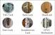 Different Types Of Door Locks