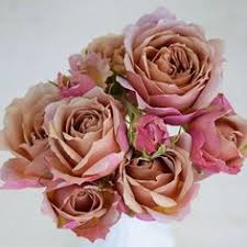 Manhattan, brooklyn, queens, the bronx and staten island. Parfum Flower Company Parfumflower Profiel Pinterest