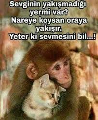 fatmagonul adli kullanicinin ozlu sozler panosundaki pin ozlu sozler pozitif dusunceler guzel soz