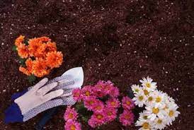Now that you know how to prepare. How To Prepare Soil For Planting Tips And Guidelines Howstuffworks
