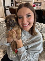 Cute dog receives affection and love