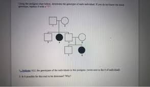 Genetics worksheet part 1 introduction, genetics worksheet answer key, basic mendelian genetics worksheet, genetics worksheet for 6th grade, genetics worksheet 2 genetics pedigree worksheet from genetics worksheet answer key , source: Using The Pedigree Chart Below Determine The Genotype Of Each Individual If You Do Not Know Homeworklib