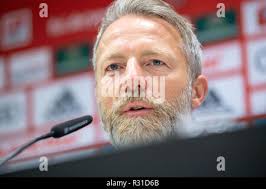 Ingolstadt, Germany. 21st Nov, 2018. Thomas Linke, former national player  and vice world champion of 2002, takes part in a press conference at FC  Ingolstadt 04. The 48-year-old is to advise the