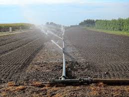 Maybe you would like to learn more about one of these? Hd Wallpaper Black Metal Water Pipe Spraying The Field Arable Agriculture Wallpaper Flare