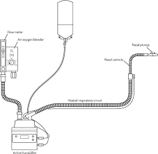 Nasal dryness discomfit in individuals receiving dry oxygen via nasal cannula respiratory care april (2008) vol 35 no. High Flow Oxygen Therapy And Other Inhaled Therapies In Intensive Care Units The Lancet