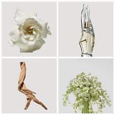 Cashmere Mist Eau De Parfum Donna Karan Sephora