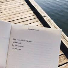 215 quotes from courtney peppernell: Inspirational Positive Quotes Biggest Lesson Learned This Year Thoughts Quotes Pillow Talk Quotes Personal Quotes