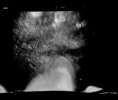 Good Grief! by Rin B. Coppola by rca-issuu