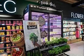 Send flowers & gifts to london. New Concepts And In Store Theatre Are Vital For M S Revival Comment Opinion The Grocer