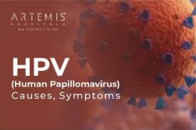 Image result for human papillomavirus symptoms