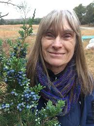 Summer Harbor: A Novel: Wilson, Susan: 9780743442336: Amazon.com: Books