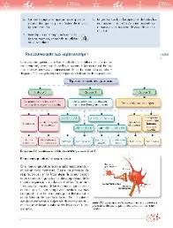 Libro de matematicas 6 grado contestado pagina 104 ala 110. Reacciones Quimicas En El Entorno Ayuda Para Tu Tarea De Ciencias Y Tecnologia Quimica Volumen Ii Sep Secundaria Tercero Respuestas Y Explicaciones