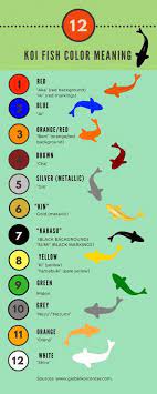Koi Fish Color Meaning Chart Koifishinformation Koifishcolors Koi Fish Colors Koi Fish Koi Fish Tattoo Meaning