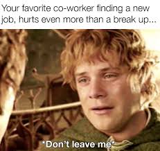 Don T Leave Me Finding A New Job Work Memes Dont Leave Me