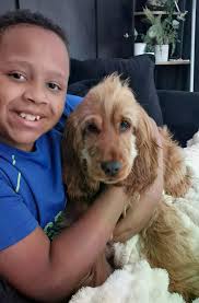 This is 11-year-old Frankie-Rae Law who was told his sore throat was "just  a virus" hours before he died in front of his family 🖤 He began  complaining about a sore throat