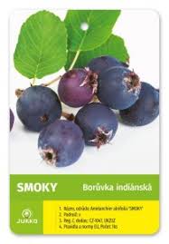 Image result for indiánská borůvka obrázek
