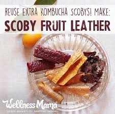 How To Make Scoby Fruit Leather Wellness Mama Recipe Kombucha Recipe Food Fruit Leather Recipe