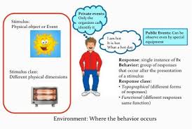 Pin By Alysa Bazydlo On Aba Applied Behavior Analysis Behavioral Therapy Behavior Analysis