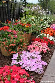 Rabbit resistant and easy to grow, 'autumn sunburst' makes a bold impression in small gardens, containers, shrub borders, informal hedges, and mass plantings. How To Grow Beautiful Flowers Oh My Creative