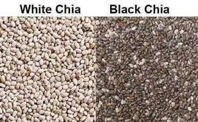 White Vs Black Chia Ichel S All About Online Stuff Facebook
