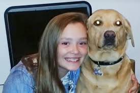 I see it every night', says man who watched daughter and partner crushed to  death by lorry