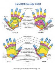 reflexology charts margarethaydon com