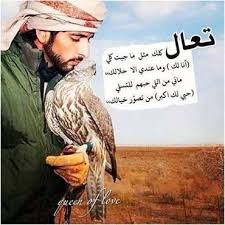 مريت في صفحة ضميري والأوراق وسطرت لك أبيات دون الخلايق لبى العيون اللي لها الكل يشتاق ولبى الخفوق اللي له البال رايق Love Words Romantic Poetry Words
