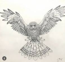 The first pet in free fire was a cat also known as kitty and it comes for free in gold royal. 10 Falcons Ideas Falcons Falcon Tattoo Art