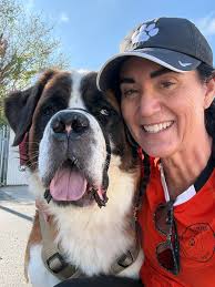 Saint bernard dog introduction