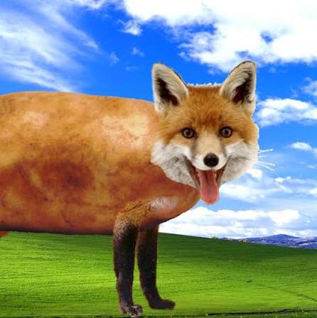 [​IMG]