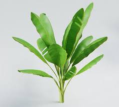 Pin On Free 3d Models