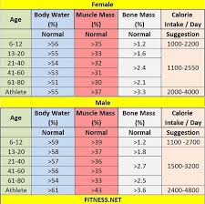 Pin On Body Composition
