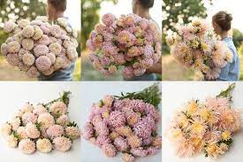 Pin On Green Thumb