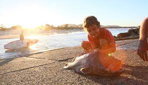 The Best Fishing Spots Nsw Mid North Coast Macleay Valley