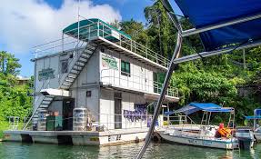 Belum rainforest resort is one of malaysia's premier ecotourism holiday destinations. Belum Rainforest Resort Een Pareltje Binnen Het Royal Belum State Park