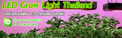 Maybe you would like to learn more about one of these? Led Grow Light Thailand Inspired By Lnwshop Com
