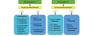 Specific Antiarrhythmic Therapy Especially In Structural Heart Disease Download Scientific Diagram