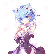 Pin On I Have A Neko Addiction