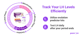 LH Hormone Levels: What is Normal? - Premom India