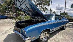 Image result for Stratomist Blue 1972 Buick