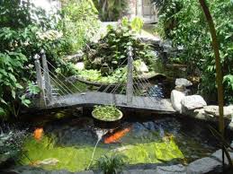Tips To Caring The Koi Ponds Pond Design Small Fish Pond Minimalist Garden