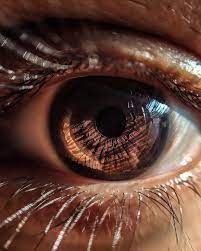 Macro Photography Of Eye Aesthetic Eyes Macro Photography Eyes Brown Eyes Aesthetic