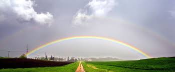What causes a double rainbow? | The Weather Guys