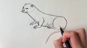 How To Draw An Otter Youtube Drawings Drawing Tutorial Artist Pens