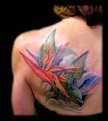 Aaron Goolsby Tropical Flower Tattoos Hawaiian Flower Tattoos Bird Of Paradise Tattoo