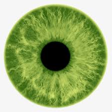 Maybe you would like to learn more about one of these? Green Eyes Png Free Hd Green Eyes Transparent Image Pngkit