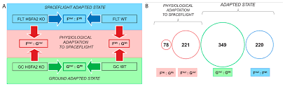 See battery, electric battery, electric, device that cell, in biology, the unit of structure and function of which all plants and animals are composed. Ijms Free Full Text Hsfa2 Functions In The Physiological Adaptation Of Undifferentiated Plant Cells To Spaceflight Html